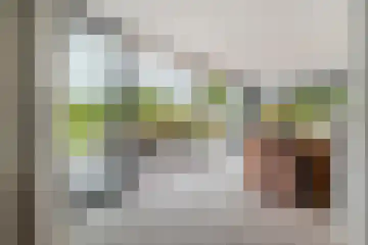 Brouwersweg 1 Dalfsen thumbnail 53