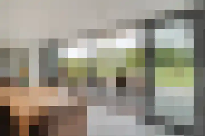 Brouwersweg 1 Dalfsen thumbnail 54