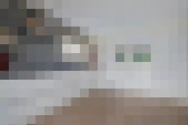 Brouwersweg 1 Dalfsen thumbnail 55