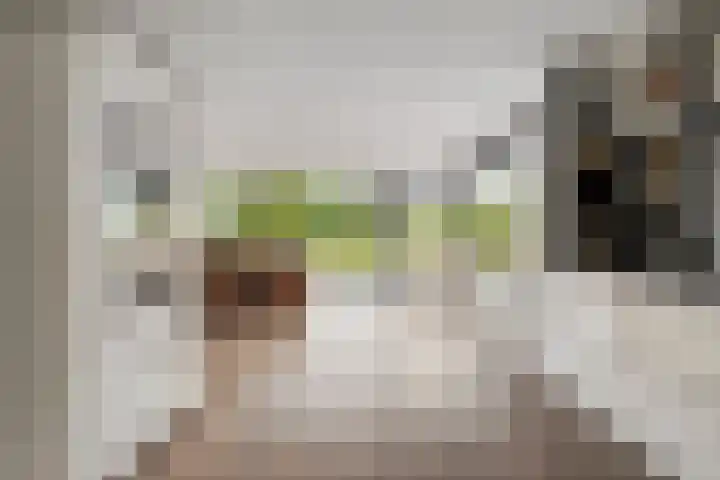 Brouwersweg 1 Dalfsen thumbnail 56