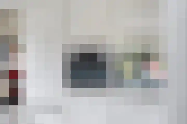Brouwersweg 1 Dalfsen thumbnail 57