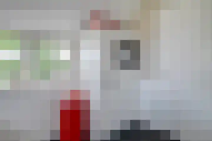 Brouwersweg 1 Dalfsen thumbnail 59
