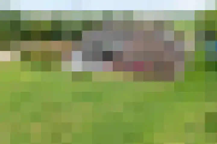 Brouwersweg 1 Dalfsen thumbnail 6