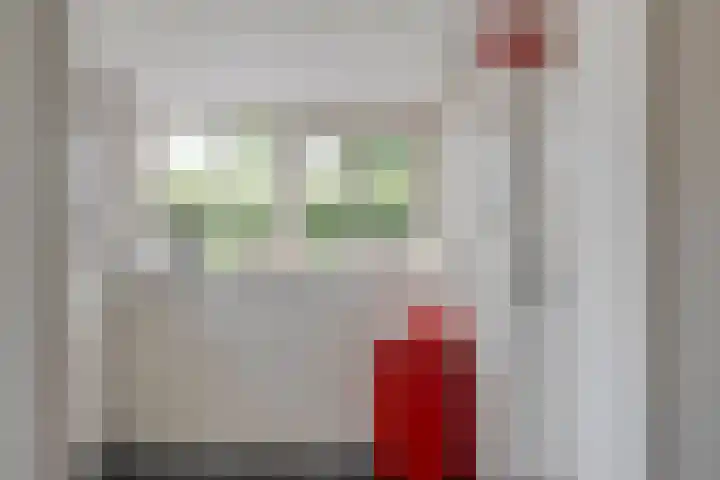 Brouwersweg 1 Dalfsen thumbnail 60