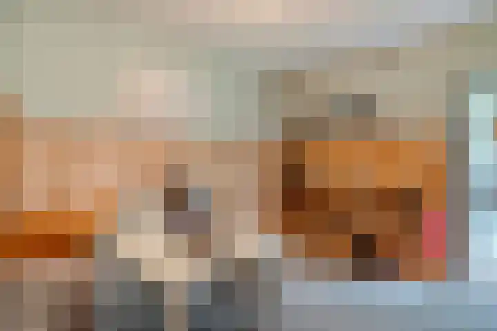 Brouwersweg 1 Dalfsen thumbnail 62