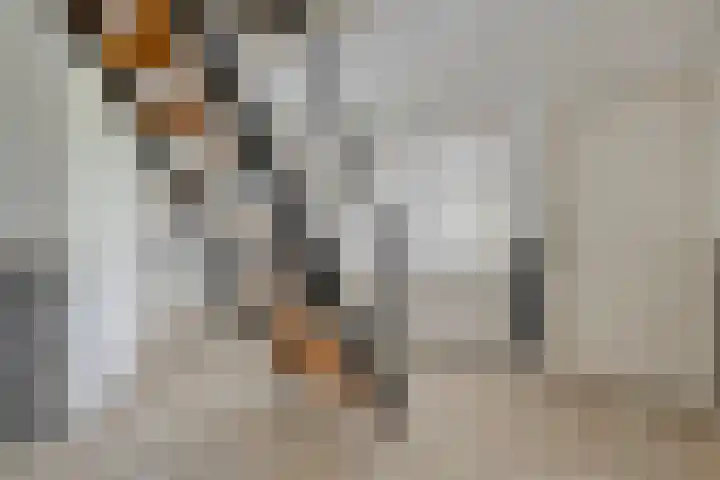 Brouwersweg 1 Dalfsen thumbnail 65