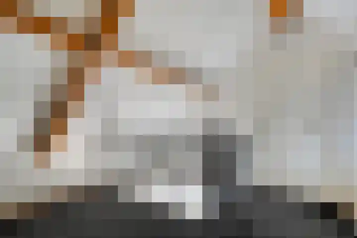 Brouwersweg 1 Dalfsen thumbnail 68