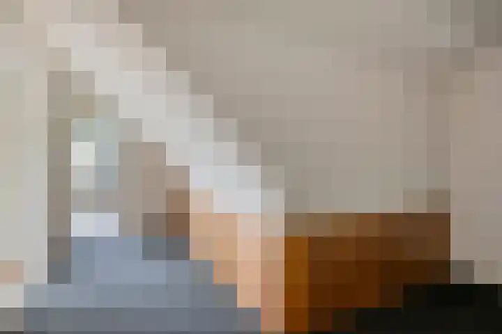 Brouwersweg 1 Dalfsen thumbnail 69