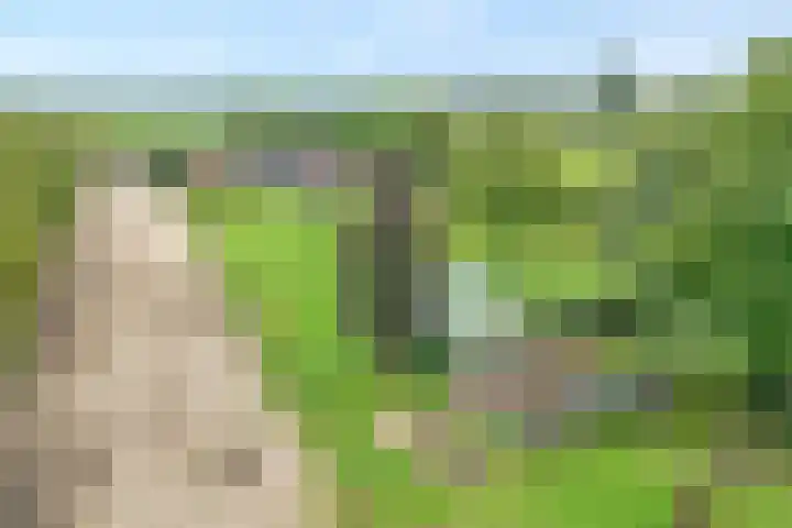 Brouwersweg 1 Dalfsen thumbnail 7