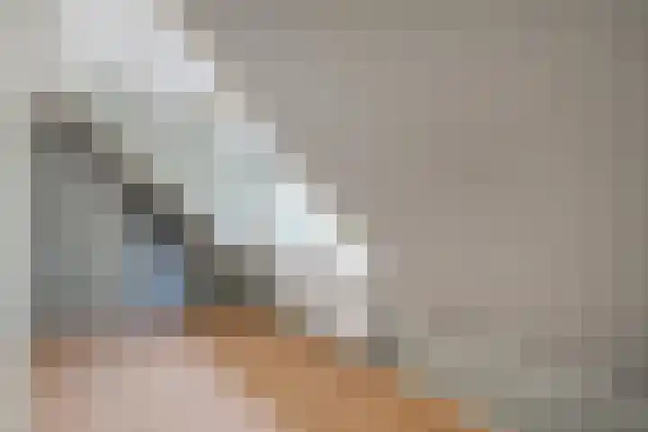 Brouwersweg 1 Dalfsen thumbnail 71