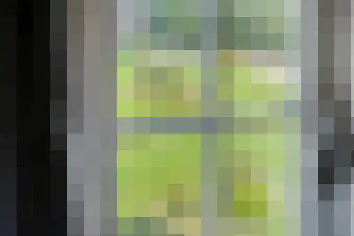 Brouwersweg 1 Dalfsen thumbnail 74