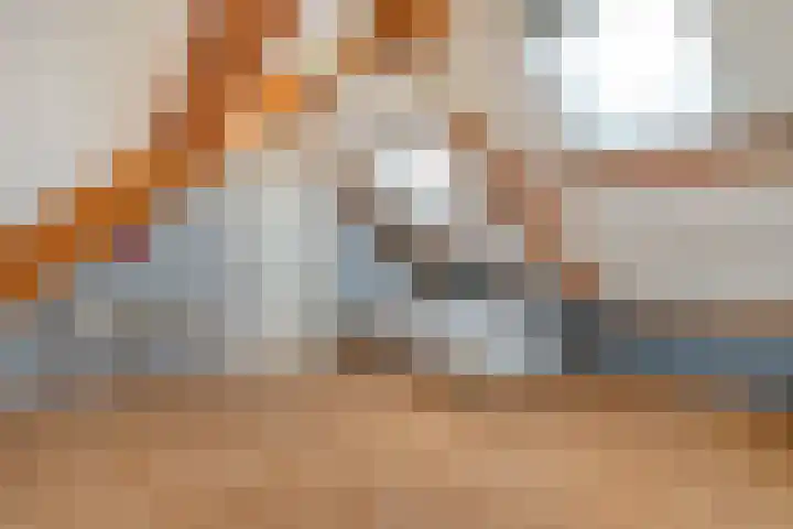 Brouwersweg 1 Dalfsen thumbnail 77