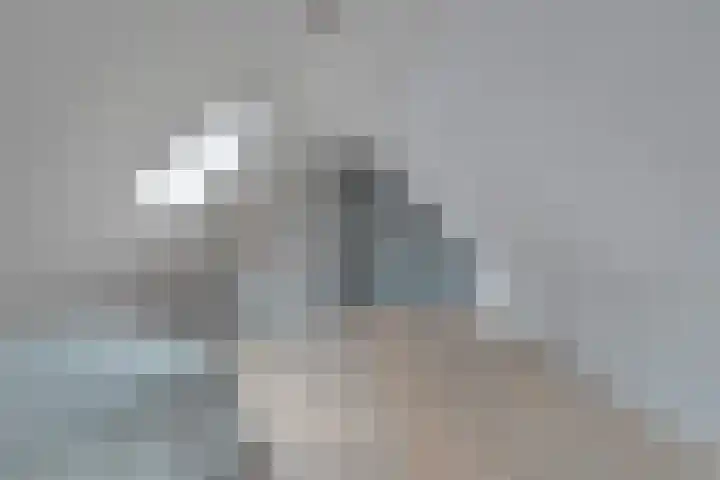Brouwersweg 1 Dalfsen thumbnail 79