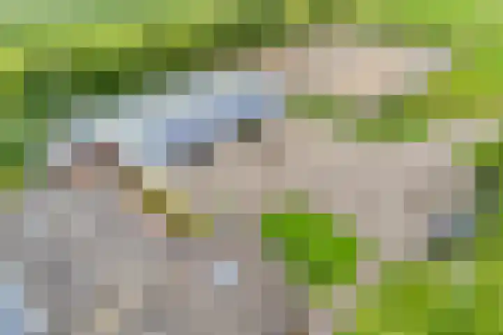 Brouwersweg 1 Dalfsen thumbnail 8