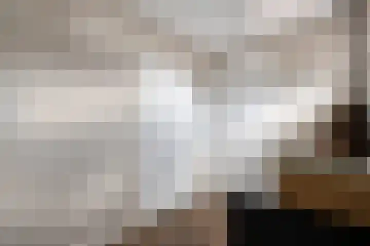 Brouwersweg 1 Dalfsen thumbnail 81