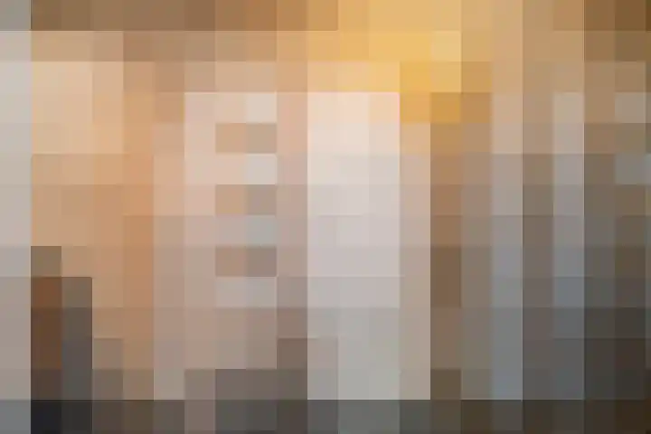 Brouwersweg 1 Dalfsen thumbnail 84