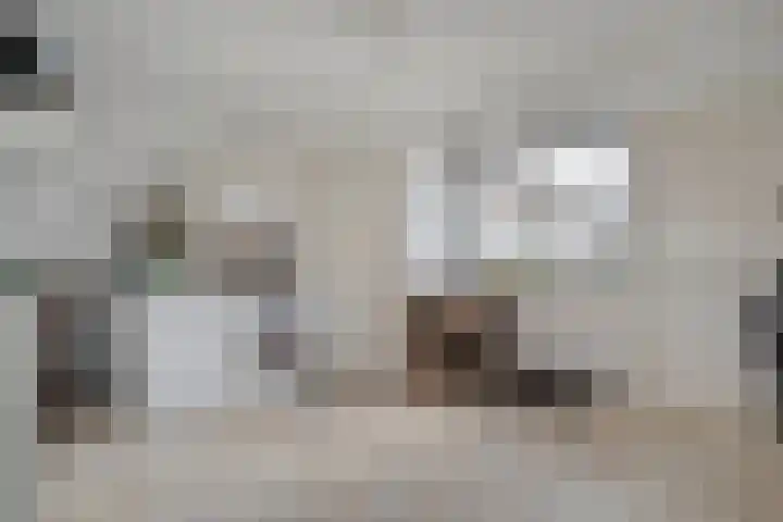 Brouwersweg 1 Dalfsen thumbnail 87