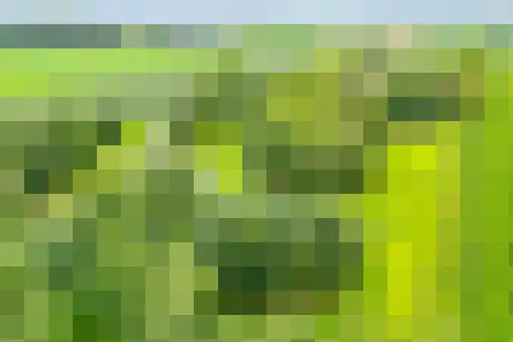 Brouwersweg 1 Dalfsen thumbnail 9