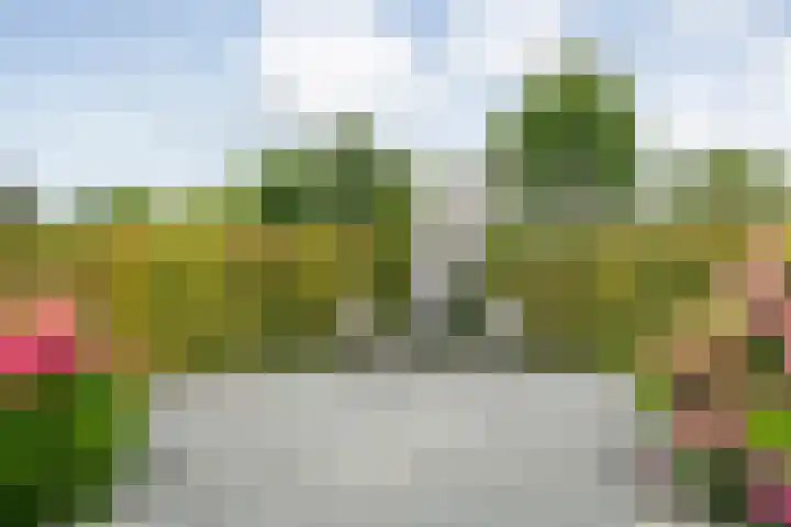 Brouwersweg 1 Dalfsen thumbnail 91