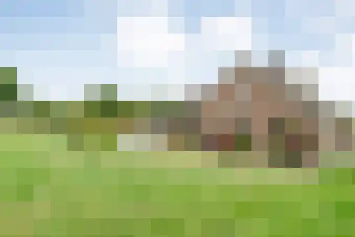 Brouwersweg 1 Dalfsen thumbnail 94