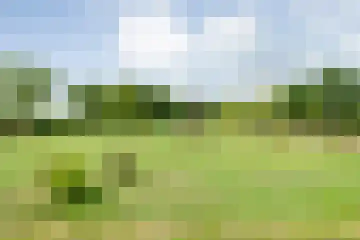 Brouwersweg 1 Dalfsen thumbnail 95