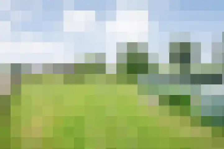 Brouwersweg 1 Dalfsen thumbnail 96