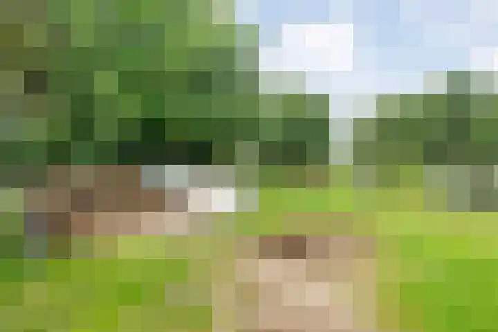 Brouwersweg 1 Dalfsen thumbnail 97