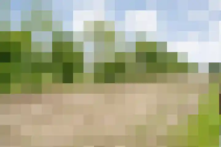 Brouwersweg 1 Dalfsen thumbnail 98