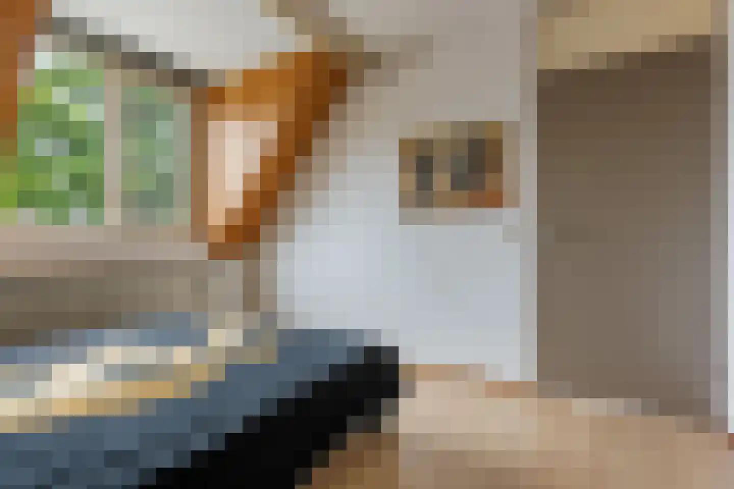 Brouwersweg 12 Veendam thumbnail 18