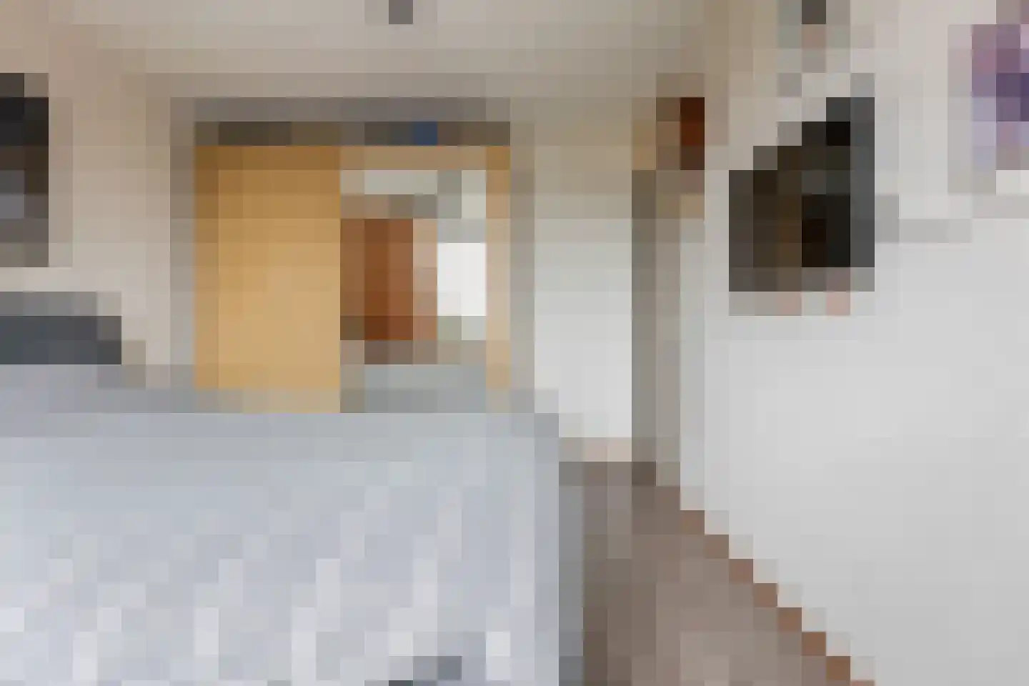 Brouwersweg 12 Veendam thumbnail 20