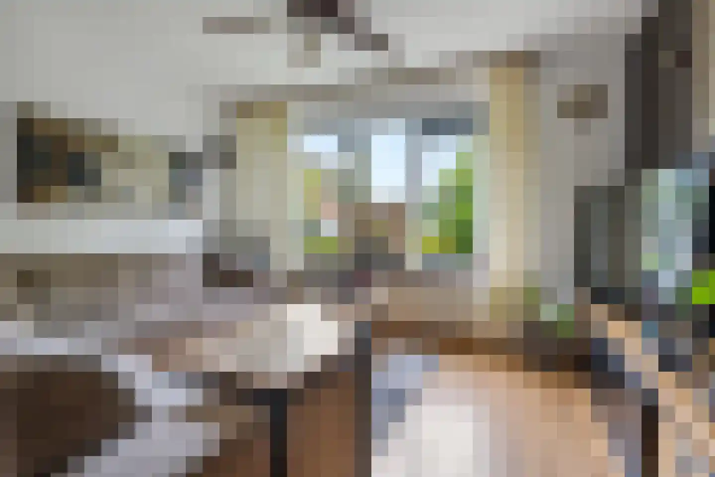 Brouwersweg 12 Veendam thumbnail 9
