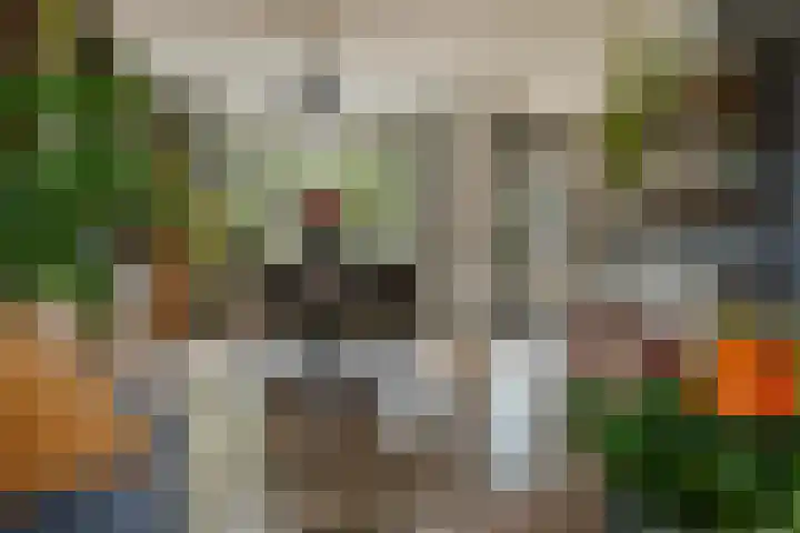 Brouwersweg 22 Veendam thumbnail 10