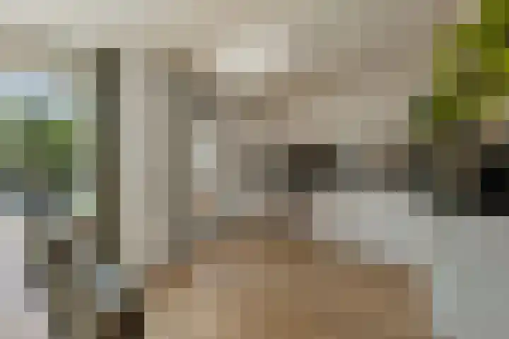 Brouwersweg 22 Veendam thumbnail 13