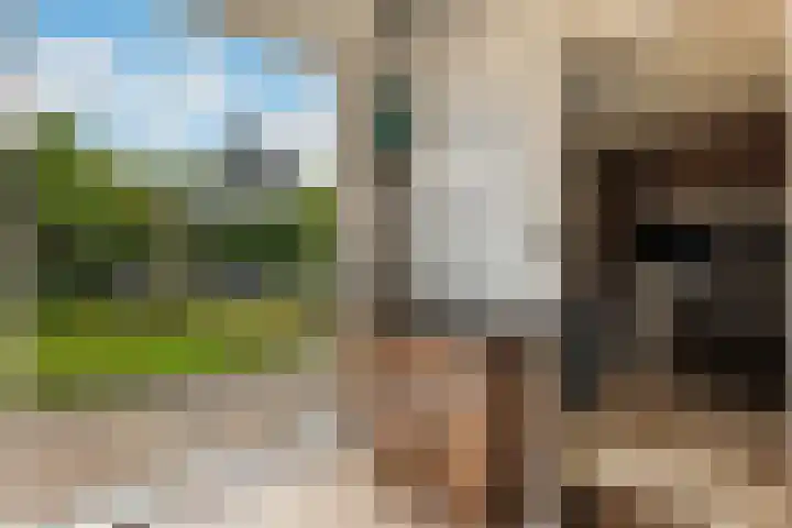 Brouwersweg 22 Veendam thumbnail 17