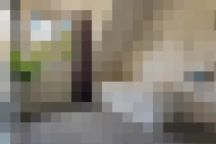 Brouwersweg 22 Veendam thumbnail 19