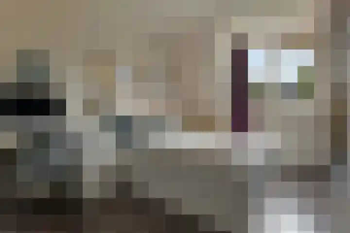 Brouwersweg 22 Veendam thumbnail 23