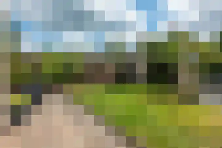 Brouwersweg 22 Veendam thumbnail 30