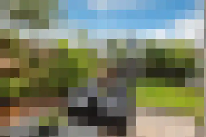 Brouwersweg 22 Veendam thumbnail 36