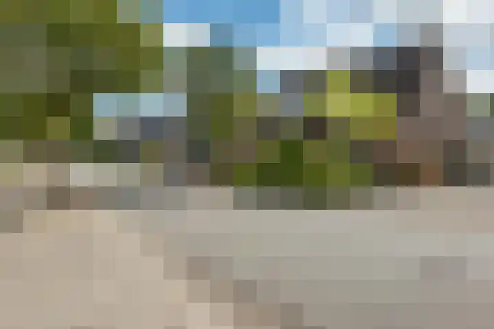 Brouwersweg 22 Veendam thumbnail 39