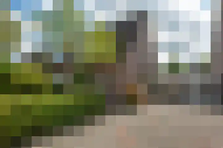 Brouwersweg 22 Veendam thumbnail 40