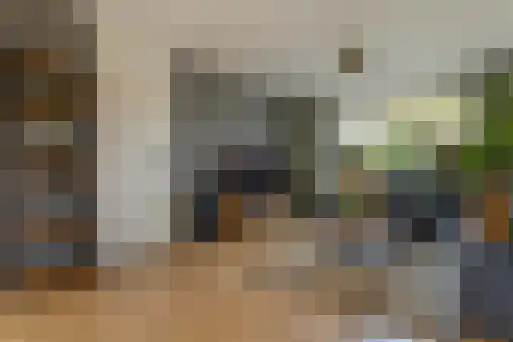 Brouwersweg 22 Veendam thumbnail 8