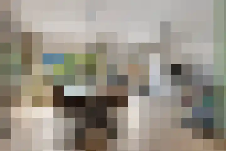 Brouwersweg 26 Veendam thumbnail 12