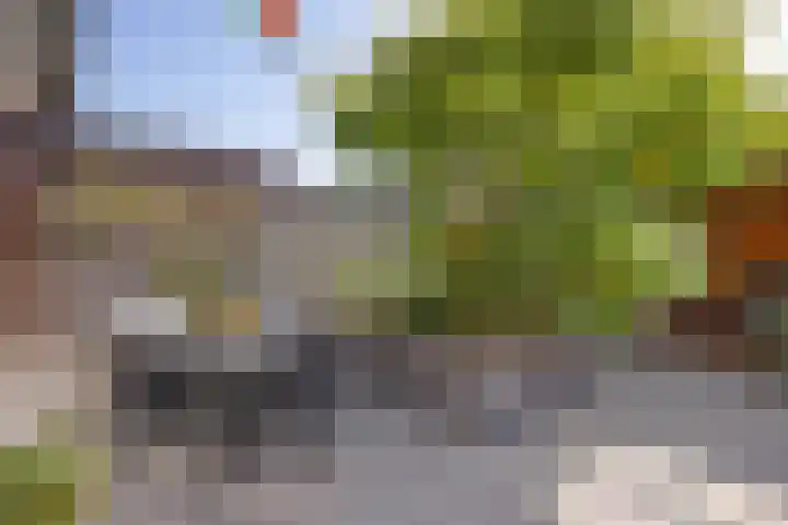 Brouwersweg 26 Veendam thumbnail 39