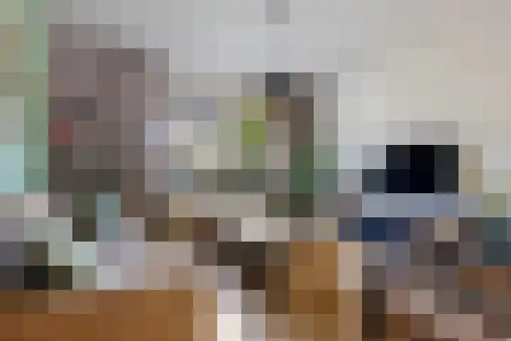 Brouwersweg 26 Veendam thumbnail 8