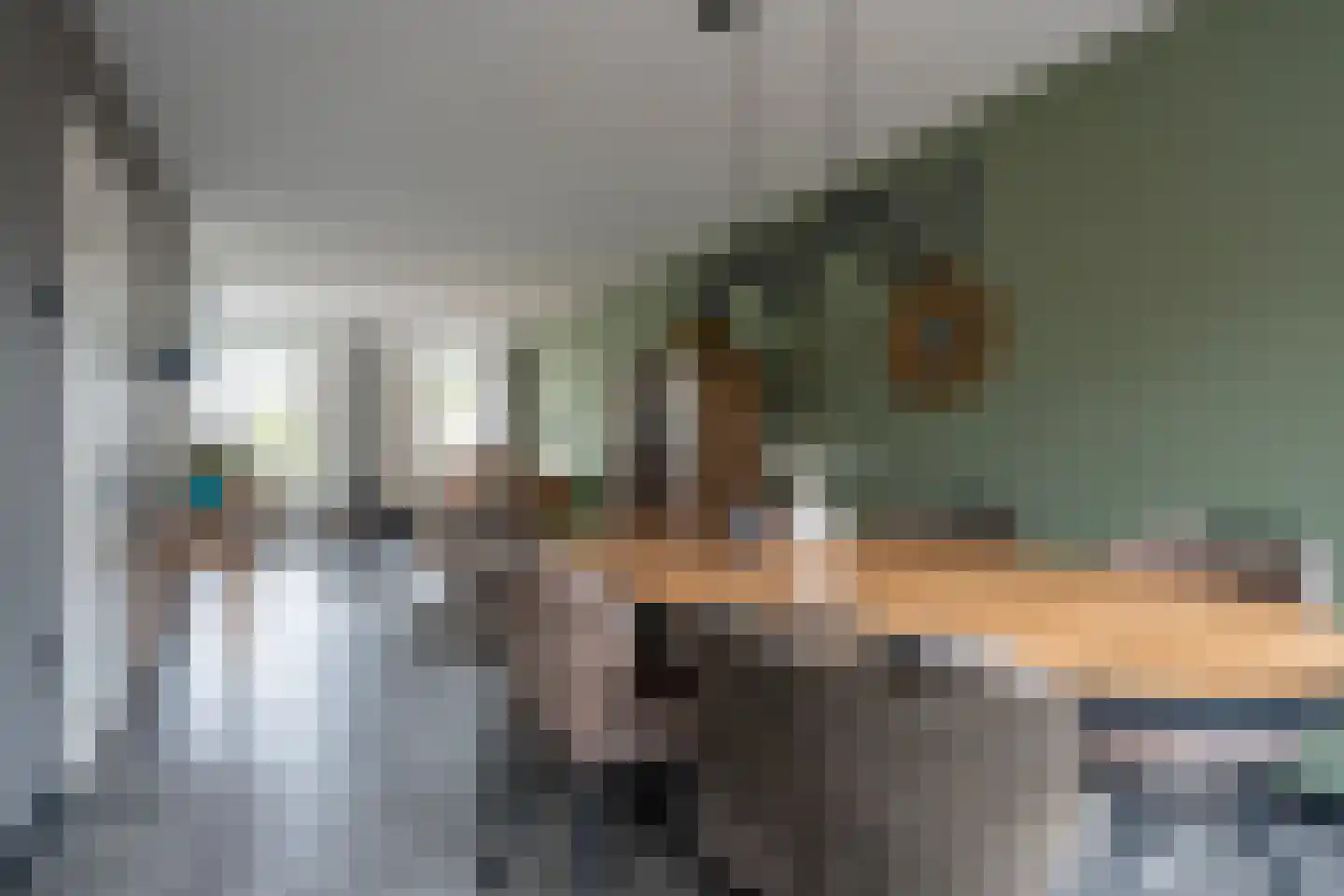 Brouwersweg 72 Veendam thumbnail 11