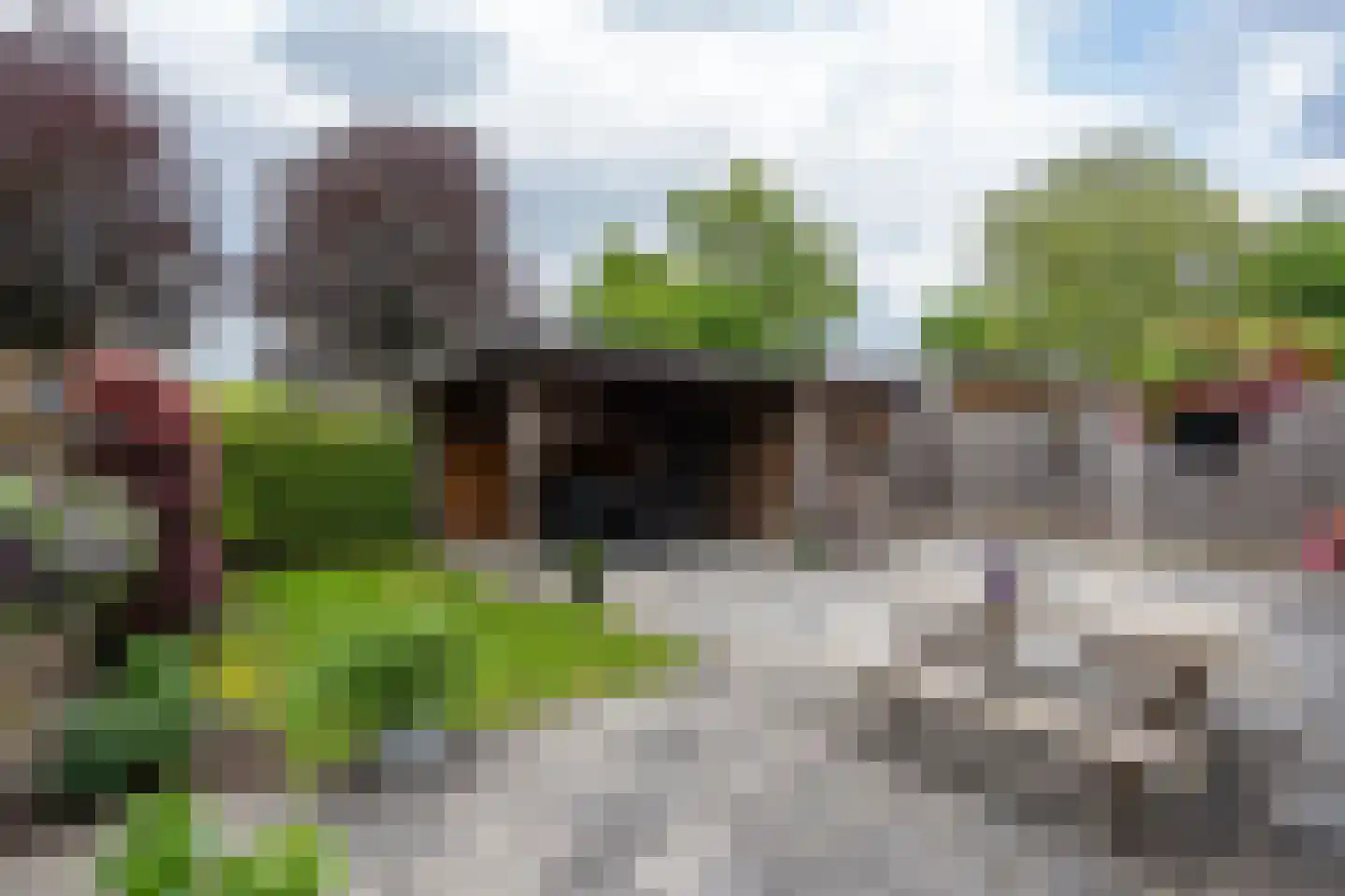 Brouwersweg 72 Veendam thumbnail 36