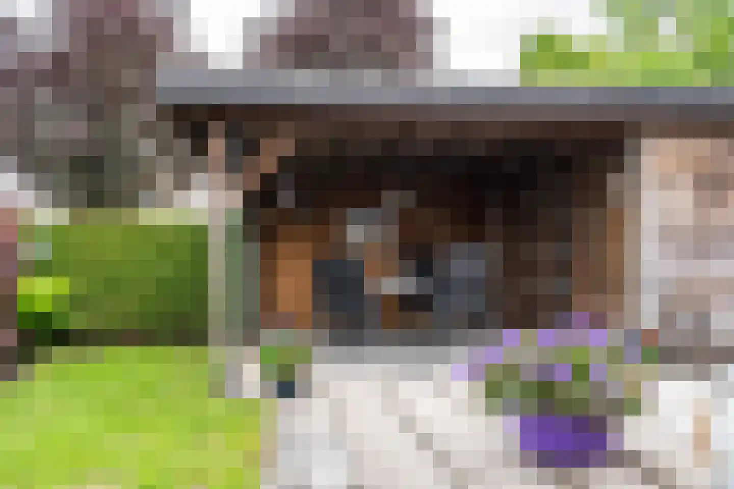 Brouwersweg 72 Veendam thumbnail 41