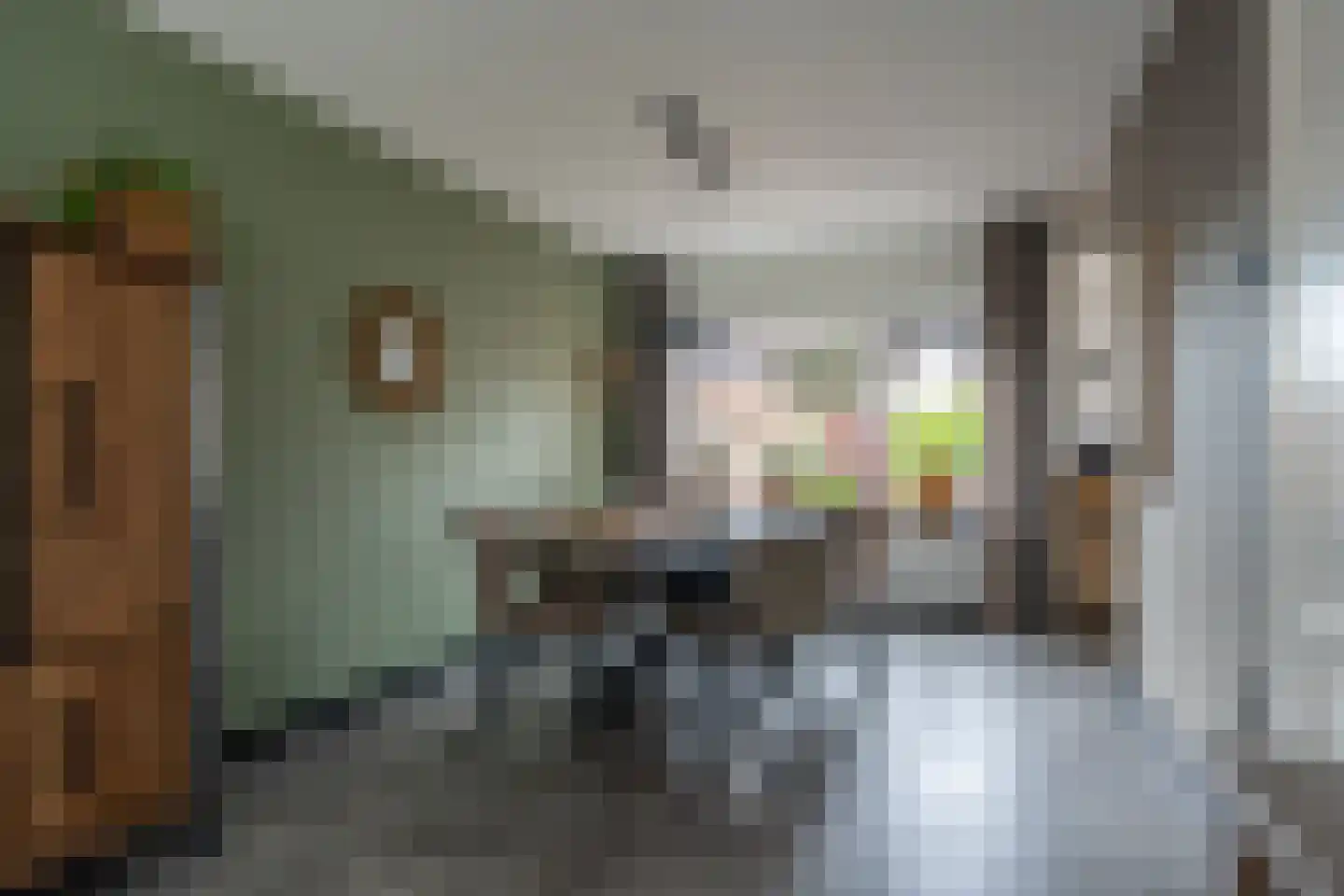 Brouwersweg 72 Veendam thumbnail 8