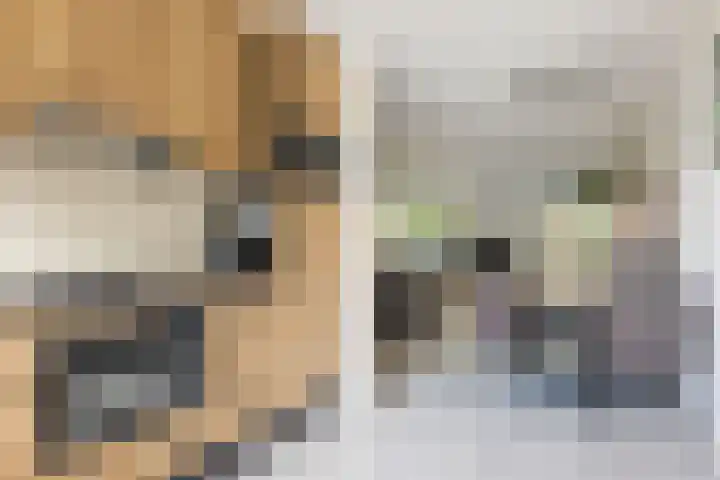 Brouwersweg 8 Veendam thumbnail 11