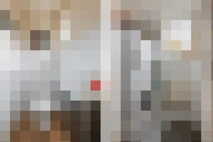 Brouwersweg 8 Veendam thumbnail 12